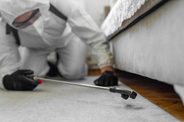 Professional Bed Bug Control technician working in Yoncalla, OR